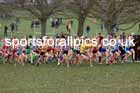 Girls Under-13s, 2024 CAU Inter Counties Cross Country Champs., Wollaton Park, Nottingham. Photo: David T. Hewitson/Sports for All Pics